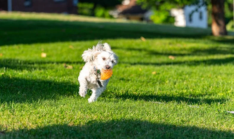 Între Datorie și Dragoste: Povestea Unei Mame Singure