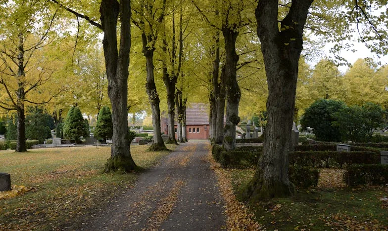 Între datorie și libertate: Povestea mea despre o alegere imposibilă