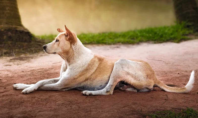 Între datorii și iertare: Povestea unei mame singure din București