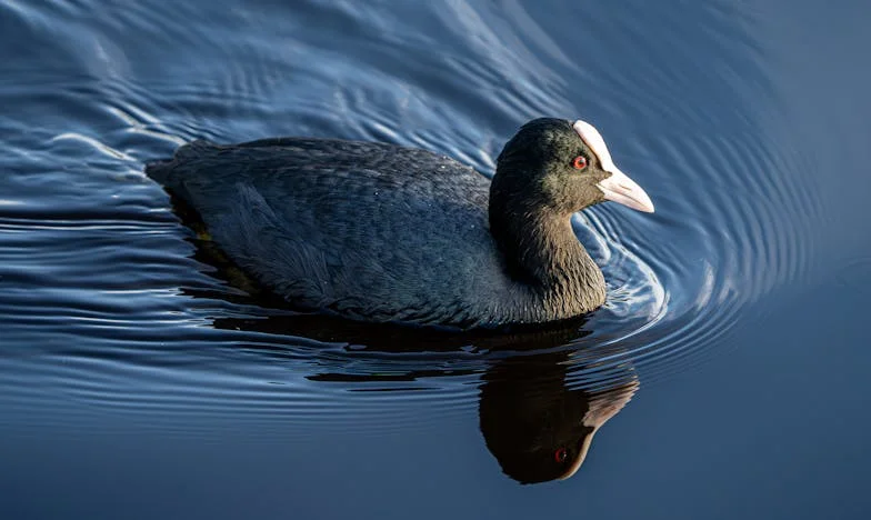 Între două focuri: Povestea unei bunici care încearcă să-și salveze nepotul din mijlocul unui divorț
