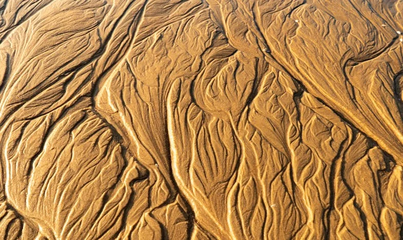 Între două lumi: Povestea regăsirii fiicei noastre, Ana