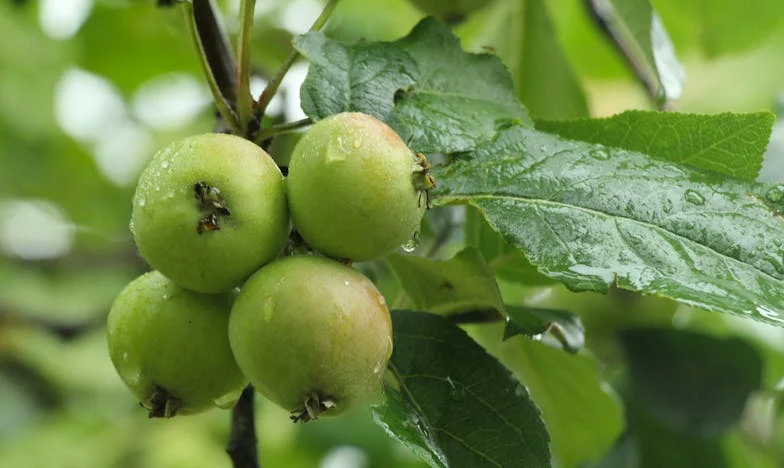 Între două lumi: Povestea unei fiice care nu vrea să-și abandoneze tatăl