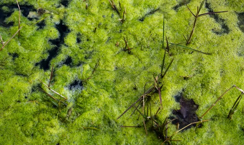 Între două lumi: Povestea unei mame care își pierde fiul