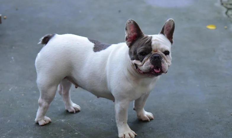 Între dragoste și sacrificiu: Povestea unei mame românce