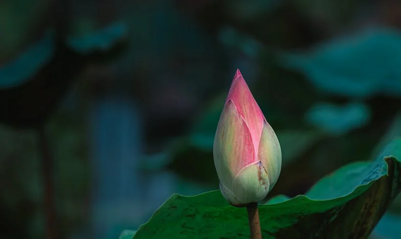 Între Rugăciune și Durere: Cum Am Găsit Puterea să Aleg pentru Familia Mea