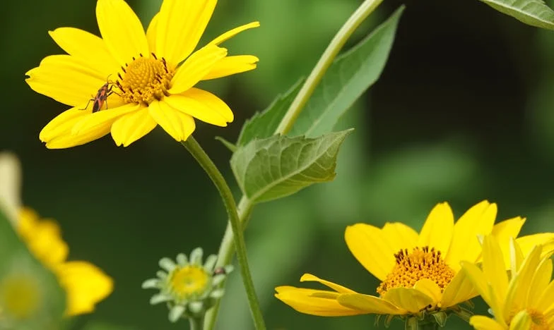 „Nu mai ești mama mea!” – Povestea unei mame alungate de propria fiică