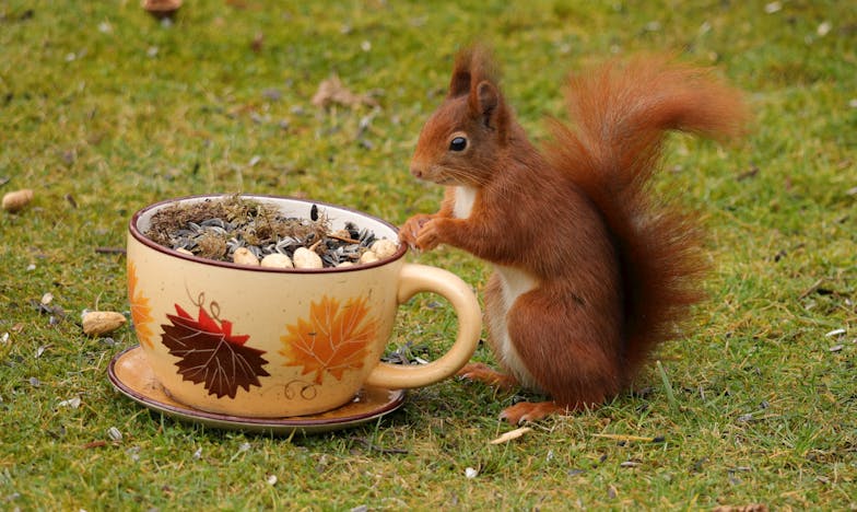 O lecție de respect: Povestea Valentinei și a fiului ei, Rareș