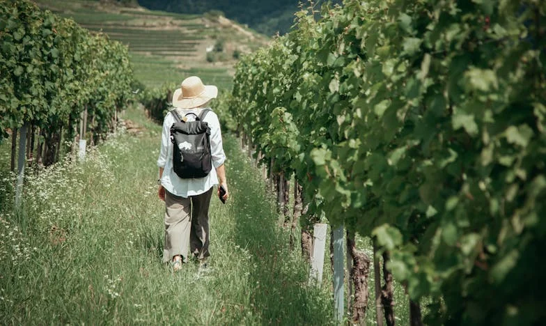 Rușinea din Ochii Fiicei Mele