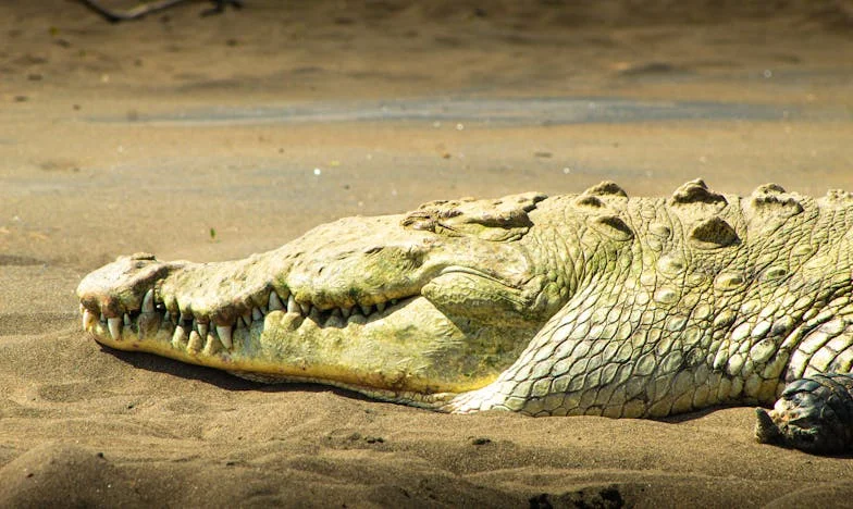 Rușinea Fiicei Mele: Povara Darurilor și Povestea Unei Mame Singure