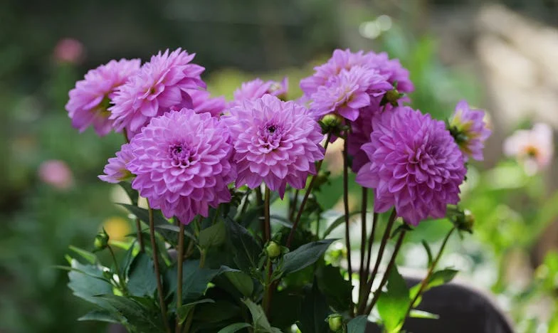 Singură cu Viața Mea: Povestea unei Mame Curajoase