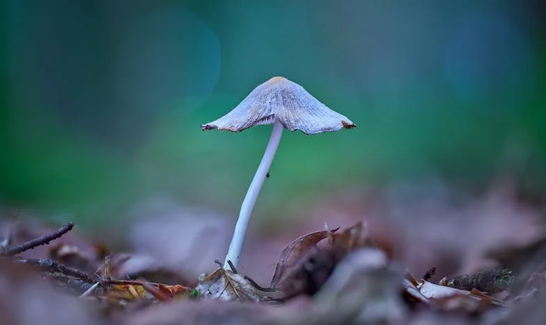 Singurătatea unei mame: Povestea Mariei, între sacrificiu și uitare