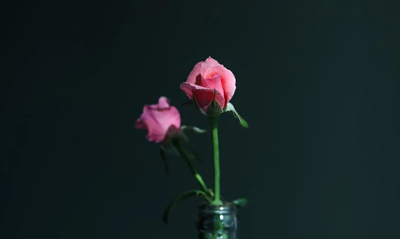 Strigătul pe care nu l-a auzit nimeni