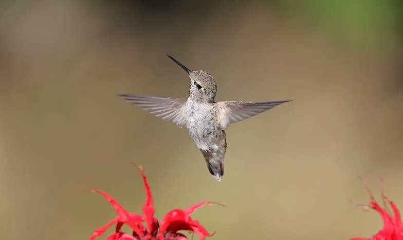 Umbra Trădării: Povestea Mea și Cuvintele Preotului