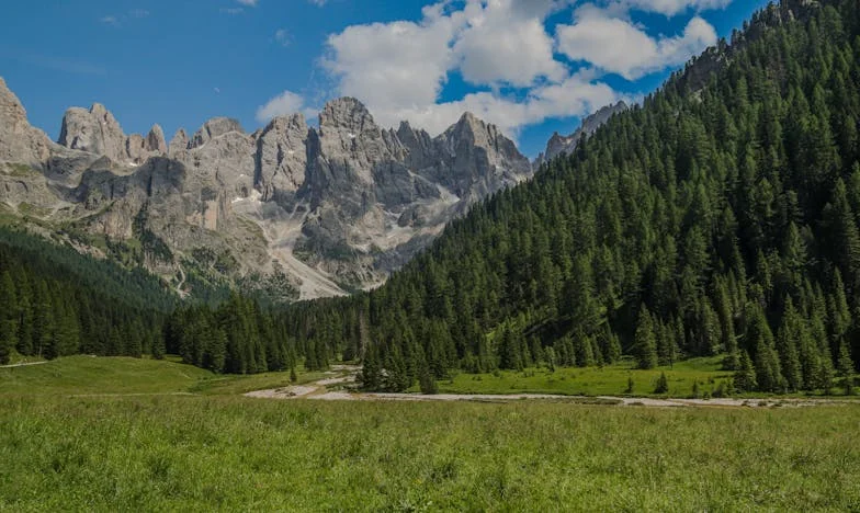 Umbra trecutului: O după-amiază care mi-a schimbat viața