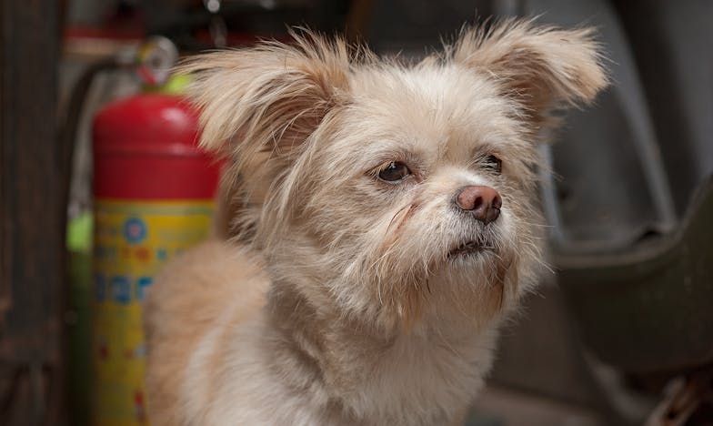 Un dar pentru o inimă frântă