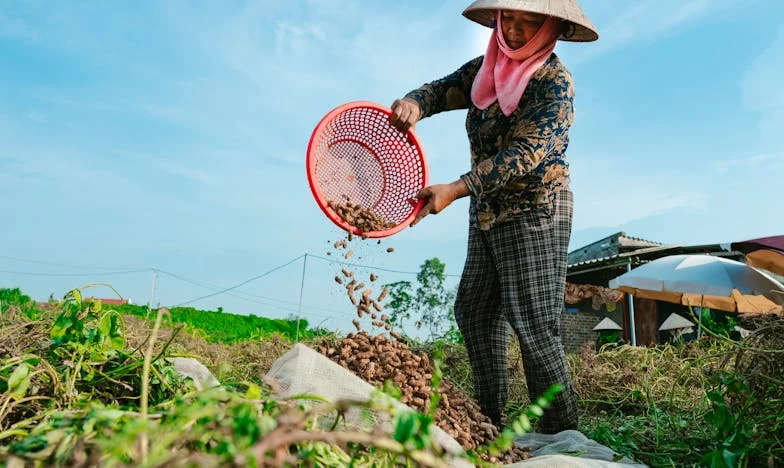 Al patrulea copil: Când dragostea nu mai e de ajuns