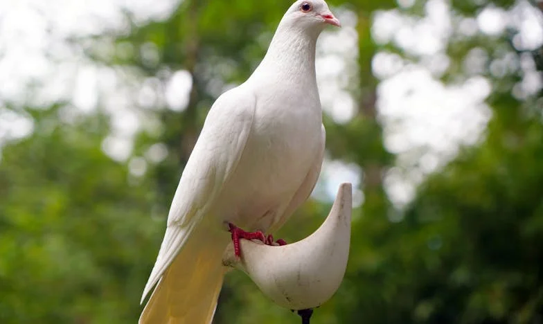 Am avut încredere în fratele meu să aibă grijă de tata, dar a risipit totul