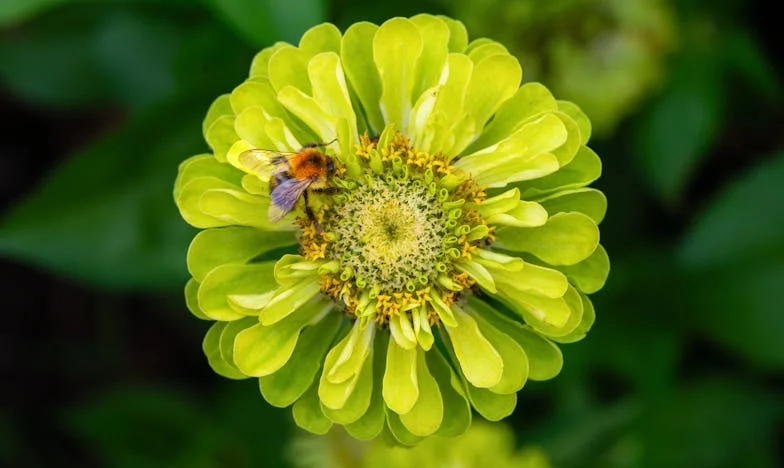 Banii Fiului Meu: Povara Unei Iubiri Nespuse