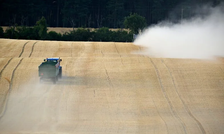 Când copiii lui Mihai au aflat că locuim împreună: De atunci, liniștea noastră s-a spulberat