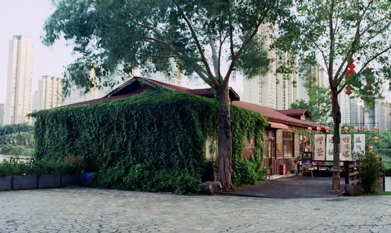 Când copilul meu a deschis ușa poliției: Povestea unei evadări din iadul domestic