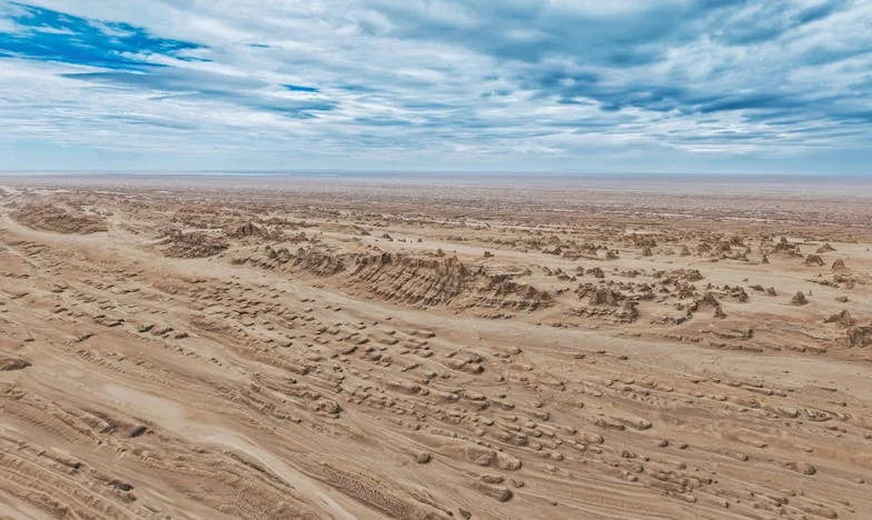 Când prietenia arde pe grătar: Povestea unei trădări la marginea orașului