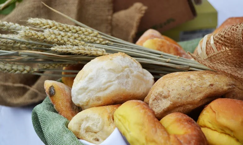 Când totul s-a rupt: Povestea mea între două focuri