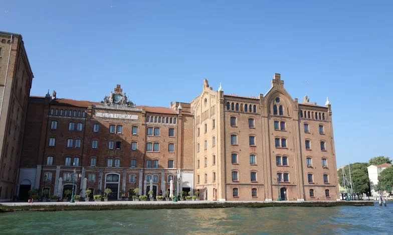 Îngerul meu păzitor – Povestea Elizei