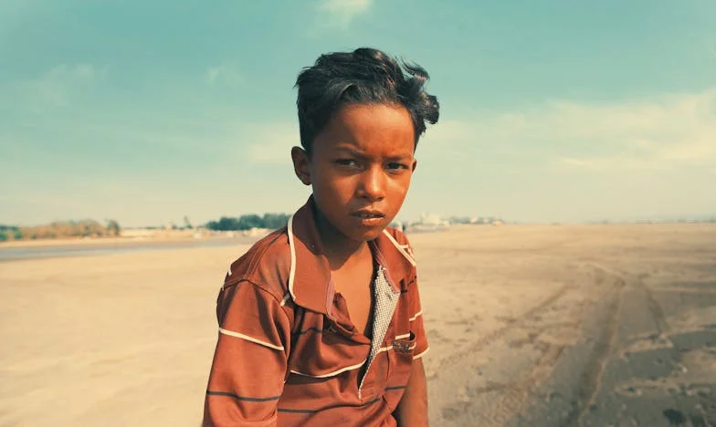 Inima lui Vlad: Povestea unei alegeri imposibile