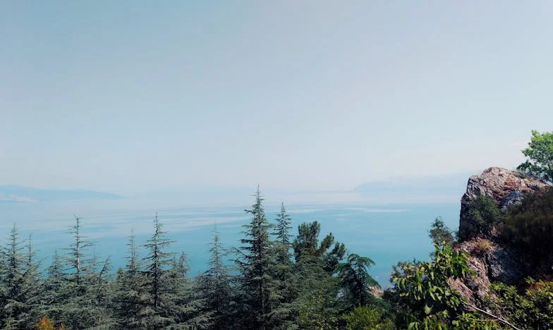 Între două generații: Povara unei alegeri