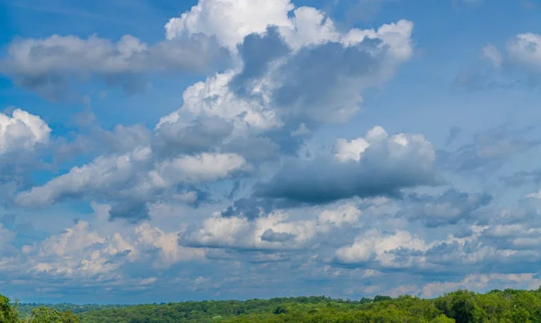 Între două lumi: Povestea unei bunici din București