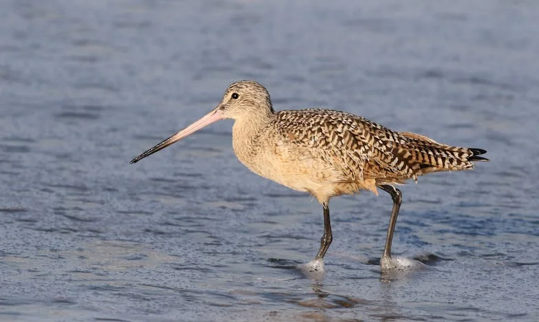 „Mamo, dacă nu te liniștești, plec pentru totdeauna.” Povestea mea și a Martei, fiica mea