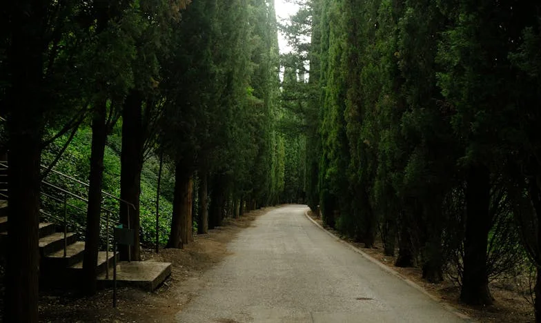 Miracolul din umbra tăcerii: Povestea noastră ascunsă