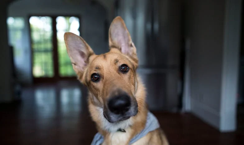 Nu vreau să ajung singură sub un pod: Povestea unei mame între sacrificiu și frică