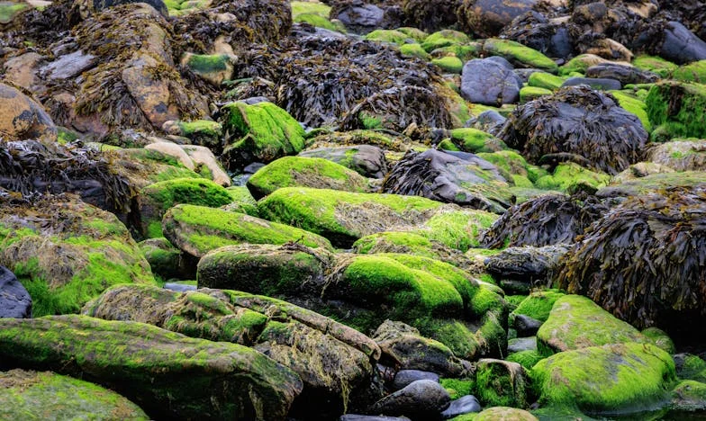 O decizie grea: De ce nu-i las moștenire fiului meu