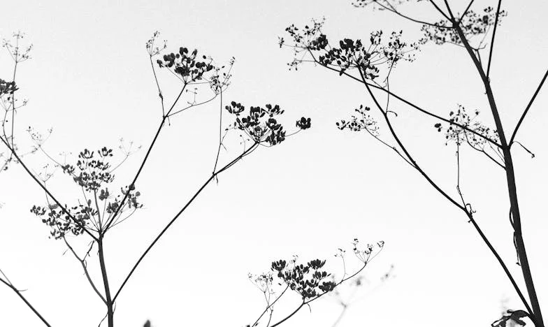 O seară de noiembrie care mi-a schimbat viața: Când am aflat că Mihai iubește pe altcineva