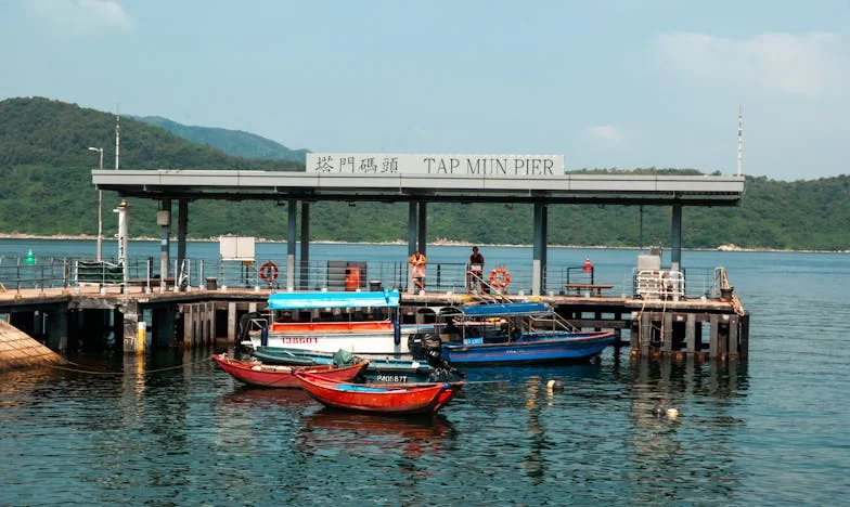 Rochia cu flori și lacrimile sub reflectoare: Noaptea în care am fost alungată de la propria mea petrecere de absolvire