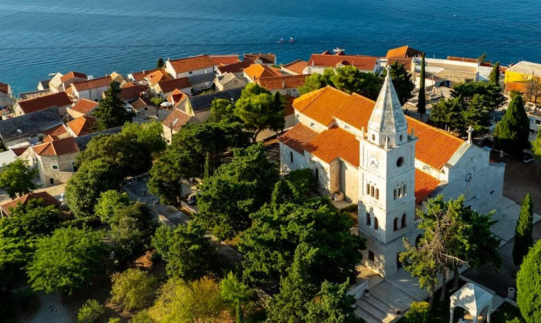 Strigătul care nu s-a auzit niciodată