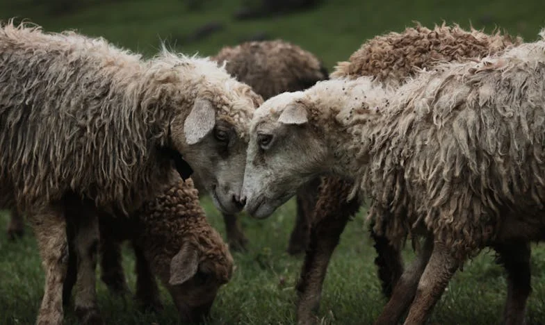 Sub același acoperiș: Când maternitatea devine povară