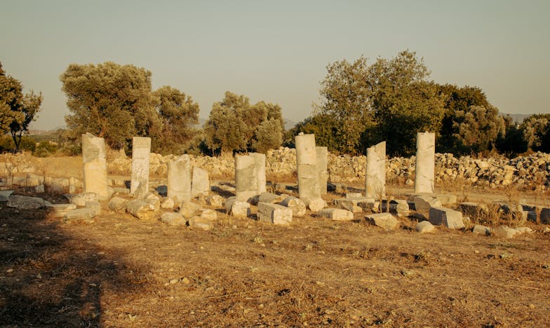 Sub același acoperiș cu mama: Unde se termină rana și începe iertarea?