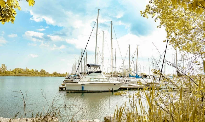 Sub același acoperiș: Povestea unei trădări de neiertat