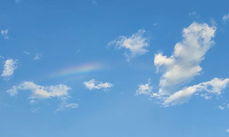 Tăcerea dintre noi: O zi care a schimbat totul