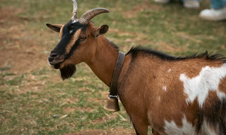 Trei luni de tăcere: Vacanța care a rupt liniștea familiei mele