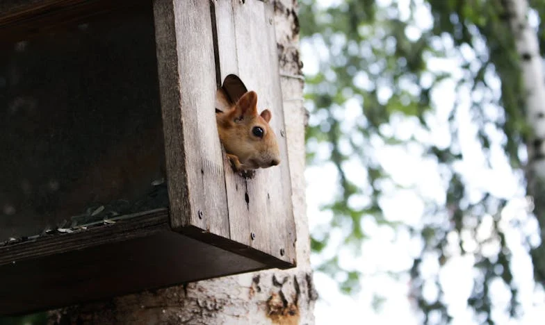 Ultima vară în casa tatălui meu