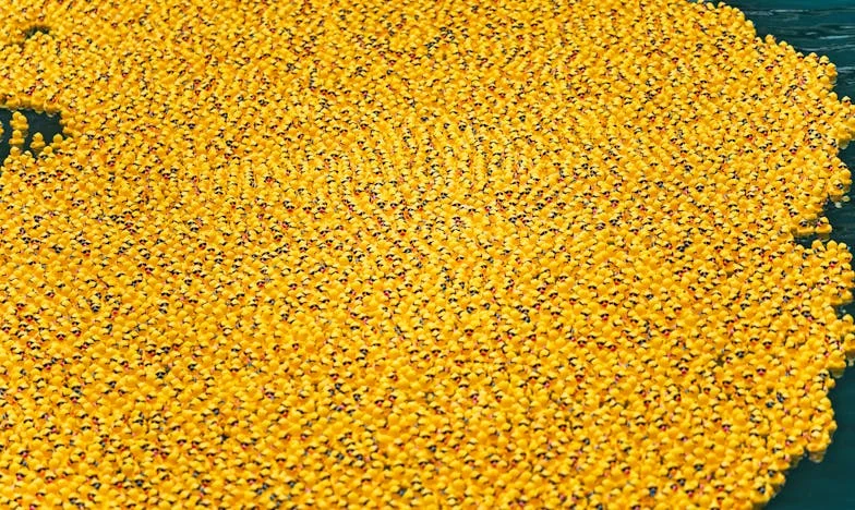 Ultimatumul soacrei: O seară care mi-a schimbat viața