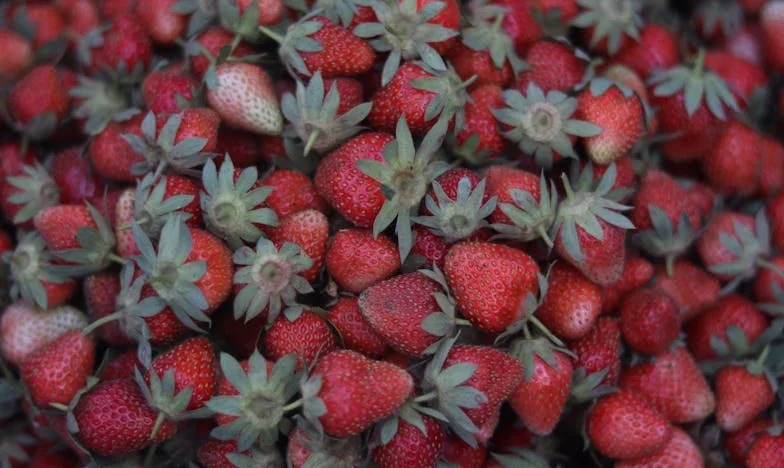 Umbra Mamei: Povestea unei fiice între datorie și libertate