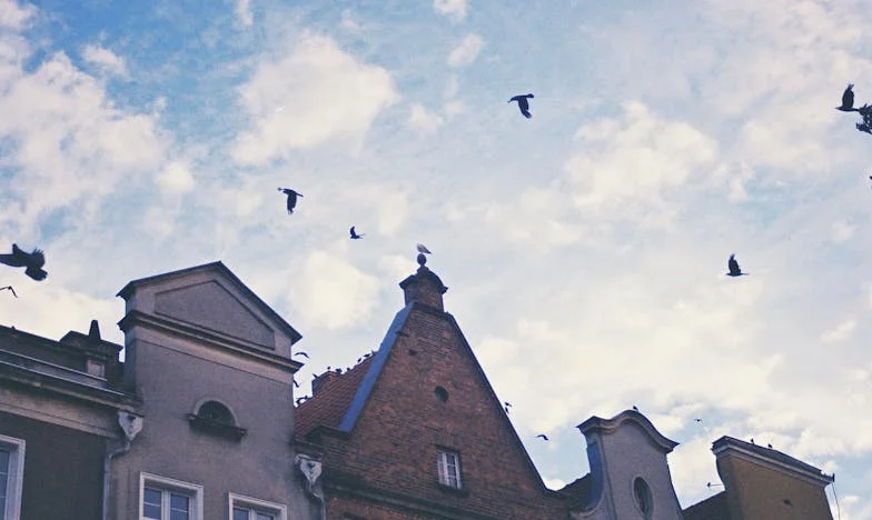 Umbrele trecutului: Povestea unei mame din Bacău între trădare, speranță și renaștere