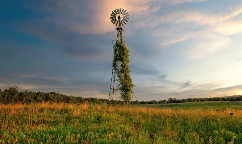 Unde se termină datoria față de familie? Povestea mea între maternitate și sacrificiu