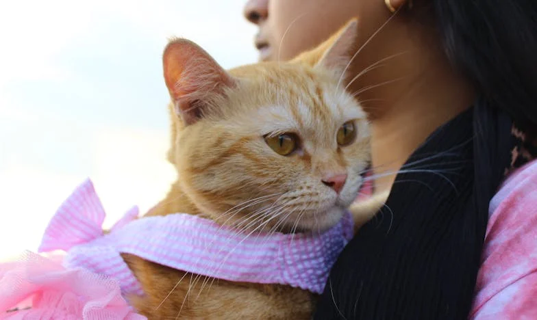 Vara în care am devenit oaia neagră a familiei mele