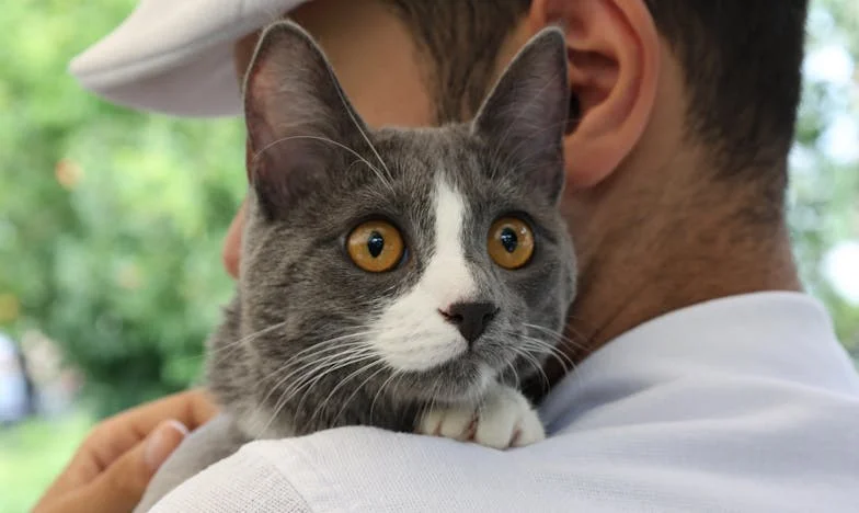 Adevărul care doare: Seara în care am devenit invizibilă pentru familia mea