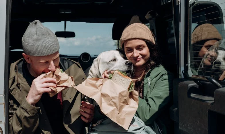 Am adus tata să locuiască cu mine. După o lună, l-am trimis înapoi. Acum toți cred că sunt fără inimă.